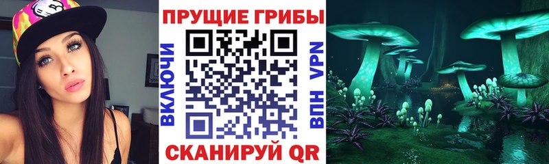 Псилоцибиновые грибы ЛСД  Купить  Белореченск 